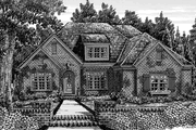 European Style House Plan - 4 Beds 3 Baths 2532 Sq/Ft Plan #927-405 