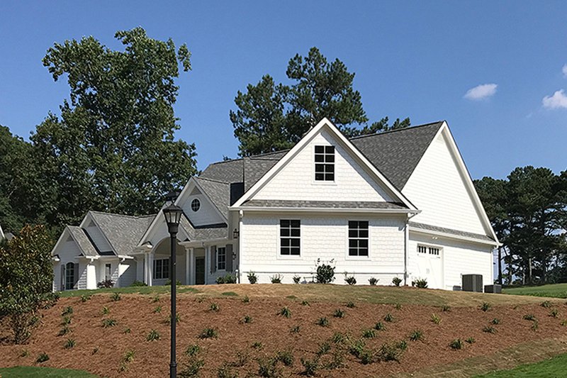 Architectural House Design - Left Side