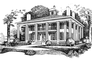 Architectural House Design - Southern Exterior - Front Elevation Plan #72-981