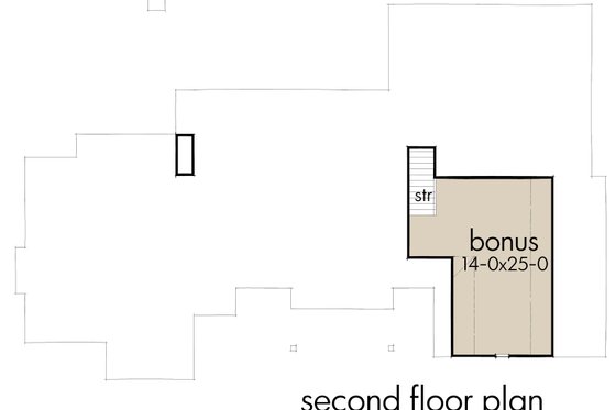 Optional Bonus Level