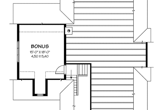 Optional Bonus Level