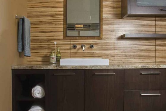 Interior - Bathroom for Contemporary House Plan #928-67 - 4 bed, 4 bath