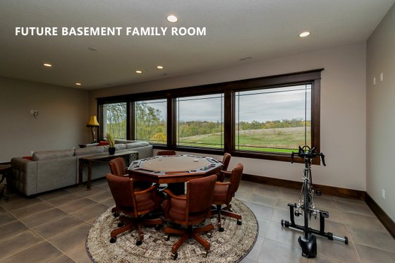 Future Basement Family Room 