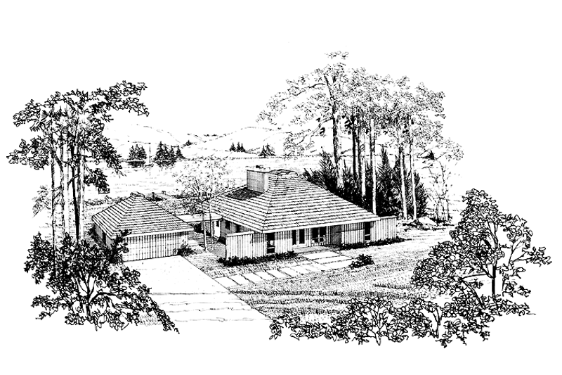 Home Plan - Contemporary Exterior - Front Elevation Plan #314-245