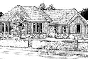 Country Exterior - Front Elevation Plan #46-731