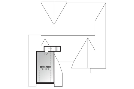 Optional Bonus Level