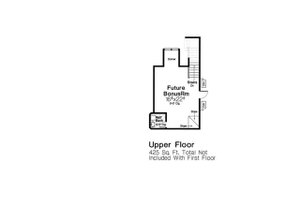 Optional Bonus Level