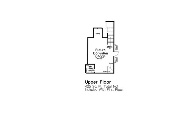 Optional Bonus Level