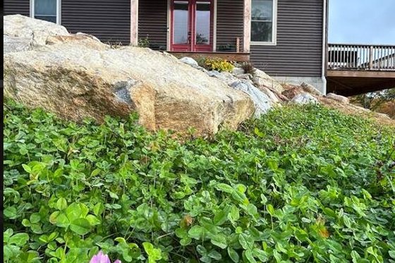 Photo 10 for Traditional House Plan #932-434 - 3 bed, 2 bath