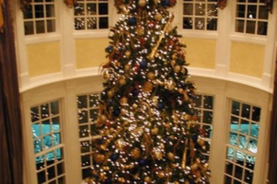 Photo 7 for Classical House Plan #119-189 - 6 bed, 7.5 bath