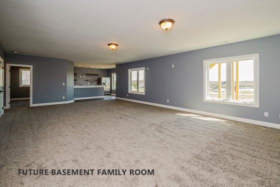Future Basement Family Room 