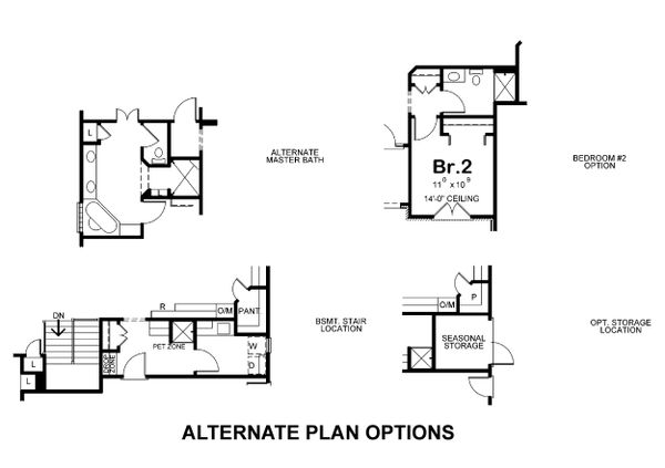 Home Plan - Alternate plan options