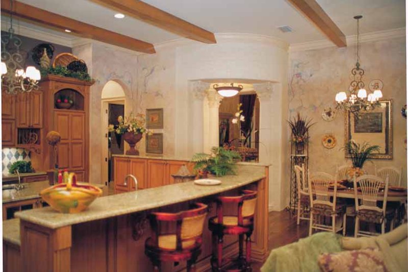 House Blueprint - Interior - Kitchen for Mediterranean House Plan #417-527 - 5 bed, 6.5 bath