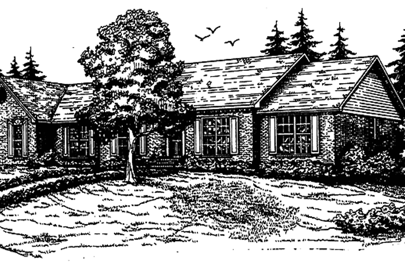Dream House Plan - Colonial Exterior - Front Elevation Plan #30-274