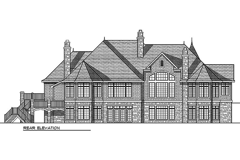 Architectural House Design - Rear View - 6400 square foot European style home