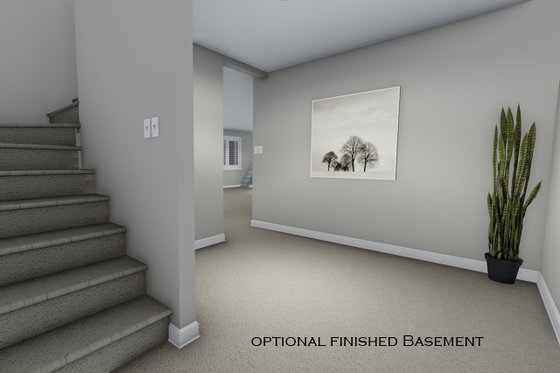 Optional Basement Hall