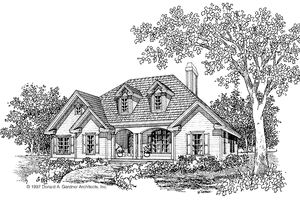 Country Exterior - Front Elevation Plan #929-339