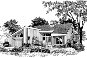 Contemporary Exterior - Front Elevation Plan #72-766