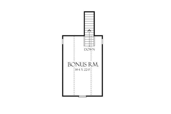 Optional Bonus Level