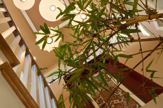 Photo 11 for Craftsman House Plan #454-12 - 3 bed, 3 bath