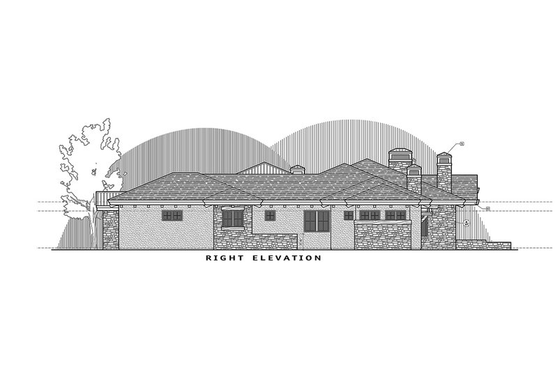 Home Plan - Right Side Elevation