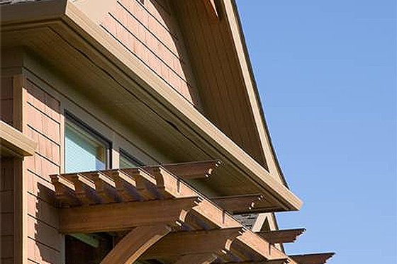 Rear View - 5300 square foot Craftsman home