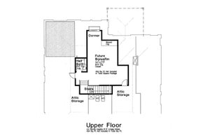 Optional Bonus Level