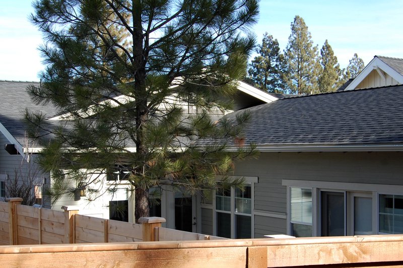 Dream House Plan - Exterior - Rear Elevation for Craftsman House Plan #895-21 - 3 bed, 2 bath