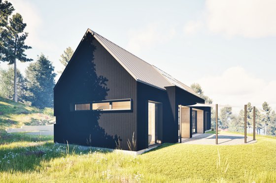 Exterior - Rear Elevation 1 for Cabin House Plan #80-227 - 1 bed, 1.5 bath