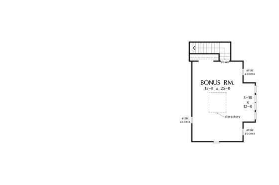 Optional Bonus Level