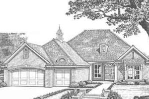 Traditional Exterior - Front Elevation Plan #310-320