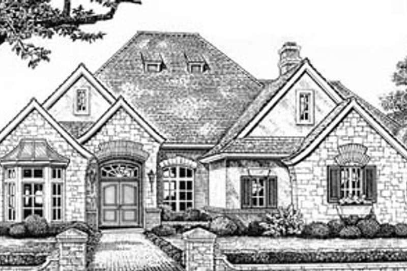 Dream House Plan - European Exterior - Front Elevation Plan #310-551