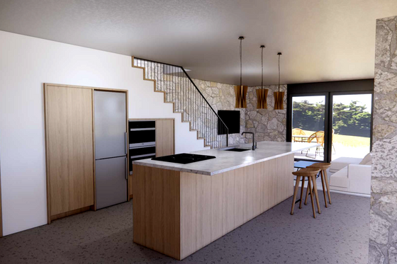 Interior - Kitchen 1 for Modern House Plan #20-2540 - 1 bed, 1.5 bath