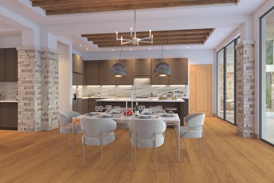 Interior - Kitchen for Contemporary House Plan #930-544 - 4 bed, 5 bath