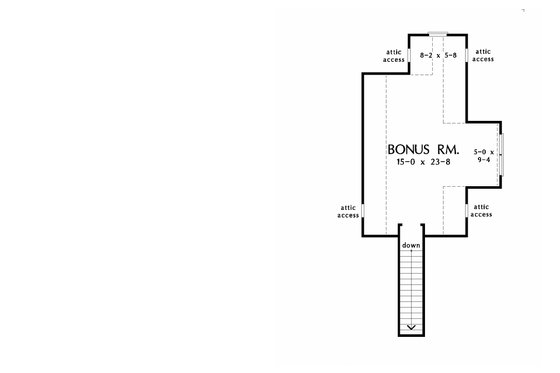 Optional Bonus Level