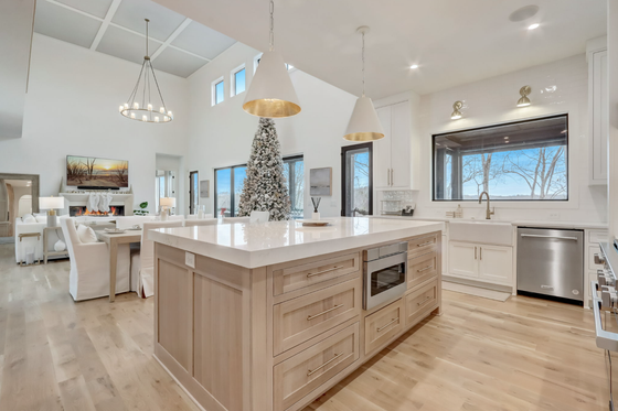 Interior - Kitchen 1 for Modern House Plan #437-133 - 3 bed, 3.5 bath