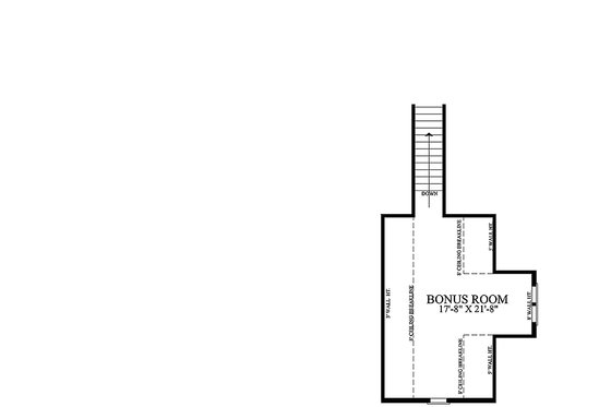 Optional Bonus Level