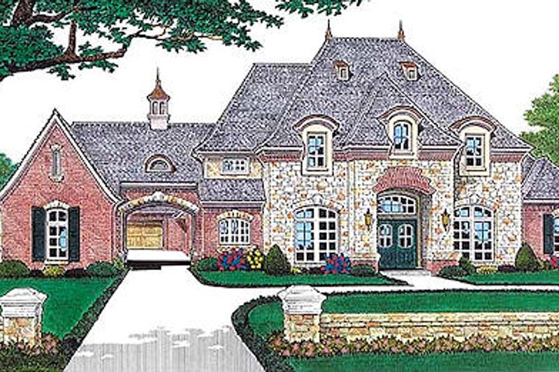 Home Plan - European Exterior - Front Elevation Plan #310-554