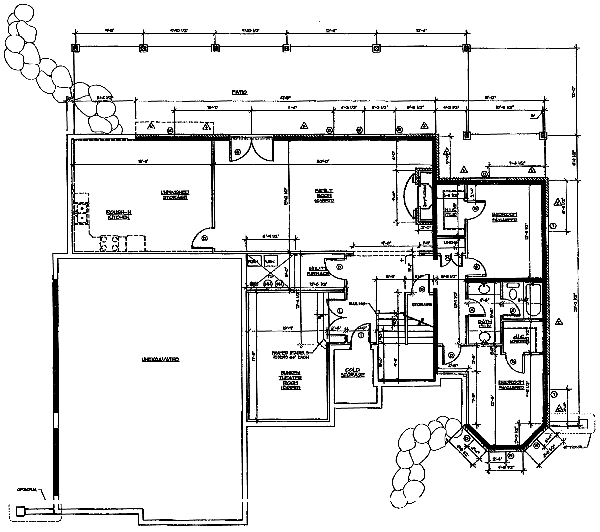 House Plan Design - European Floor Plan - Lower Floor Plan #5-191