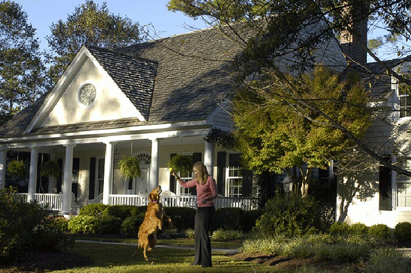 Architectural House Design - Southern Exterior - Front Elevation Plan #137-149