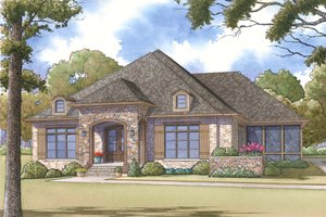 Southern Exterior - Front Elevation Plan #17-2593