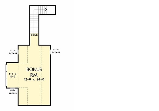 Optional Bonus Level