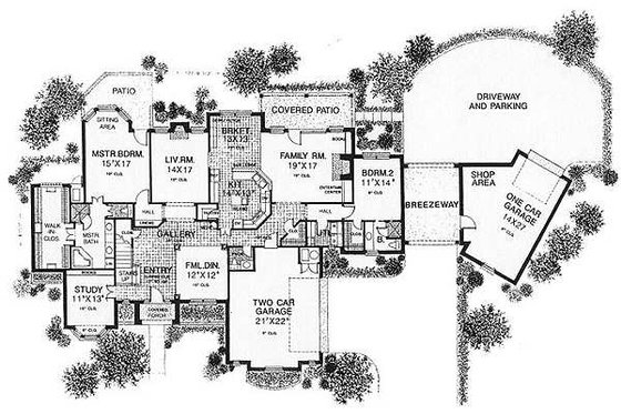 Floor Plan - Main Floor for European House Plan #310-628 - 4 bed, 4.5 bath