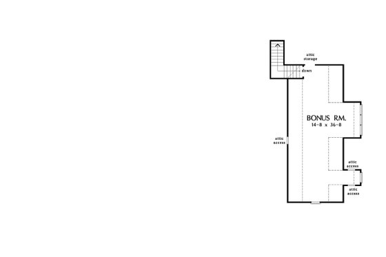 Optional Bonus Level