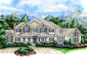 Country Exterior - Front Elevation Plan #27-531