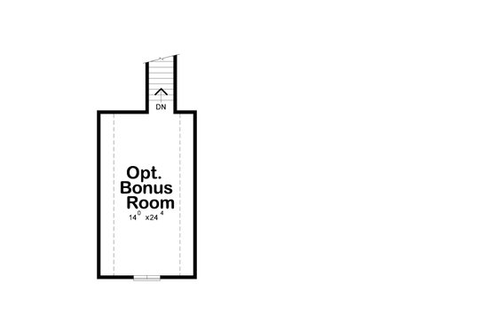 Optional Bonus Level