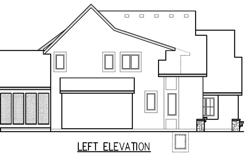Dream House Plan - Left Side Elevation