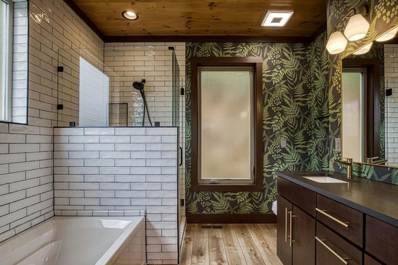 Interior - Master Bathroom for Modern House Plan #123-116 - 3 bed, 2 bath