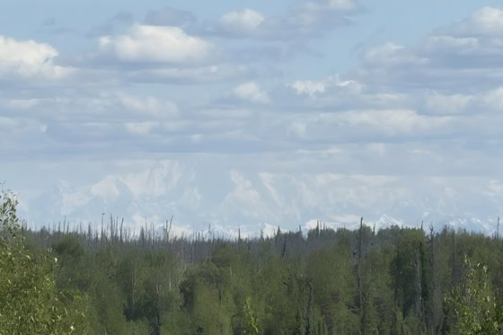 Photo 24 for Contemporary House Plan #932-339 - 2 bed, 2 bath