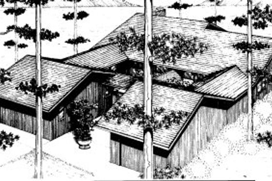 Exterior - Front Elevation for Modern House Plan #303-279 - 2 bed, 1 bath